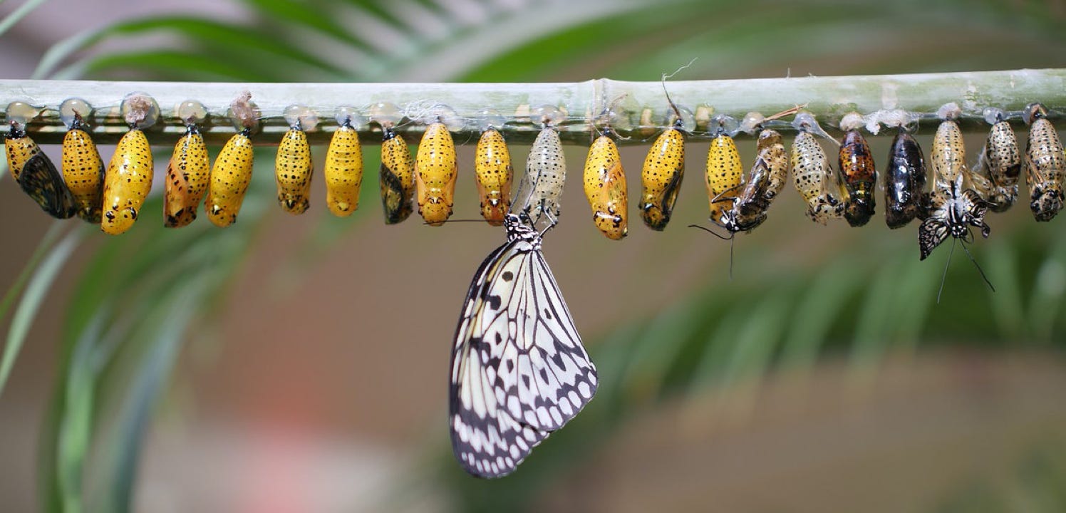Becoming your true self